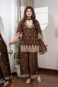 Chocolate Brown Embroidered Suit Set