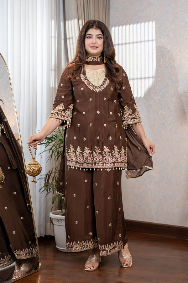 Chocolate Brown Embroidered Suit Set