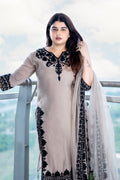 Taupe Kashmiri Design Suit Set