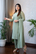 Sage Green Lucknowi Embroidery Suit Set