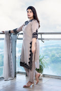 Taupe Kashmiri Design Suit Set