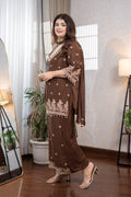 Chocolate Brown Embroidered Suit Set