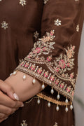 Chocolate Brown Embroidered Suit Set